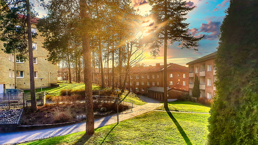 Vårbild från området